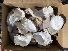Mixed size rock for sale  BRIXHAM