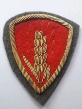 Scudetto omerale brigata usato  Italia