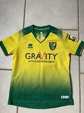 norwich city kids football shirt for sale  HUNTINGDON