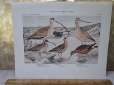Vintage print plate for sale  Belfast