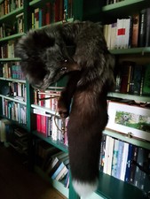 Silberfuchs stola ungetragen gebraucht kaufen  Dornum