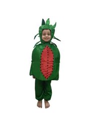 Kids fruit costume for sale  Bronx