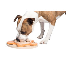emotion pets usato emotion pets usato Roccagloriosa