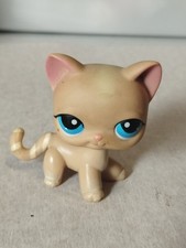 Littlest petshop shorthair d'occasion  Pont-l'Abbé-d'Arnoult