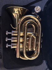 Classic cantabile brass gebraucht kaufen  Kelkheim