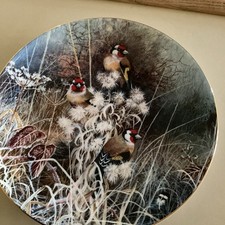 Goldfinches coalport bird for sale  FOCHABERS