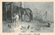 gignous usato gignous usato Milano