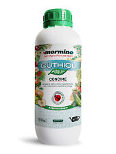 Cuthiol colorato mormino usato  Milazzo