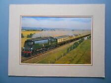 Barry freeman steam for sale  YORK