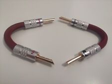 Coppia ponticelli jumpers usato  Torino
