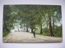 Aberdour postcard beech for sale  FALKIRK
