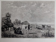 Gravure vaches falaise d'occasion  Cadenet