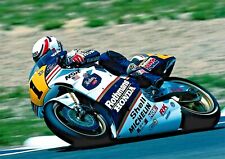 Eddie lawson american for sale  LONDON