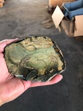 Rare orbicular morrisonite for sale  Cleveland