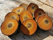 Baumscheibe drechselholz baste gebraucht kaufen Baumscheibe drechselholz baste gebraucht kaufen  Neetzow-Liepen