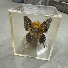 Vintage taxidermy display for sale  Topeka