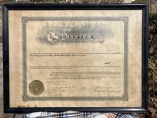 American racing pigeon for sale  West Townsend