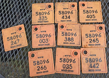 Orange washington state for sale  Olympia