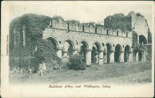 Buildwas abbey near for sale  MANCHESTER