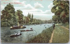Vintage postcard eel for sale  UK