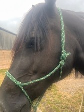 Parelli rope halter for sale  ALFRETON