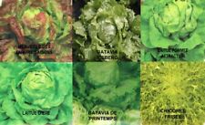 400 graines salades d'occasion  Bourges