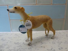 Lovely leonardo dog for sale  SWINDON