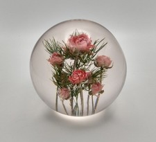 Paperweight mini roses for sale  PRESTON