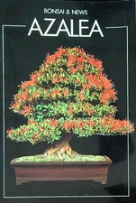 Azalea aa.vv. crespi usato  Italia