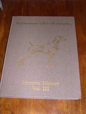Rare ltd weimaraner for sale  WARRINGTON