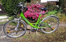 Damen fahrrad raleigh gebraucht kaufen  Fuldatal