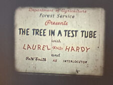 Laurel hardy tree for sale  BROXBOURNE