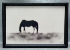 horses grazing framed photo for sale  Hempstead