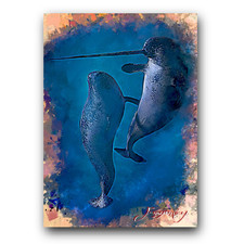 narwhal for sale narwhal for sale Pasco