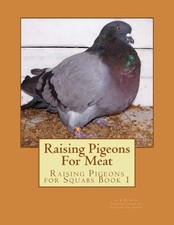 Raising pigeons meat for sale  UK