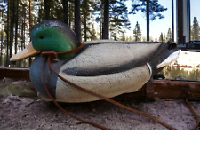 Ducks unlimited green for sale  Wesley Chapel