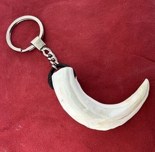 Portachiavi con dente usato  Cecina