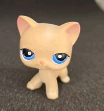 Litllest petshop chat d'occasion  Melun