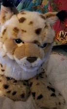 Magnussen home cheetah for sale  Phoenix