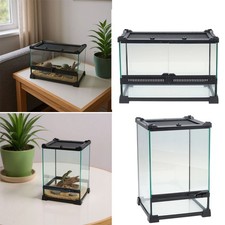Clear glass reptile for sale  UK