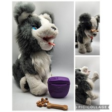 Hasbro furreal ricky d'occasion  Expédié en Belgium