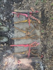 Chain binders load for sale  Timmonsville