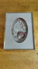 Sea shell shadow for sale  Falcon