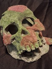 Moss covered skull for sale  Lebanon