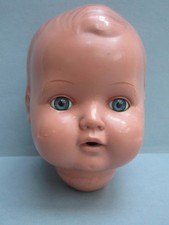 Grosser schildkröt kopf gebraucht kaufen Grosser schildkröt kopf gebraucht kaufen  Norderstedt