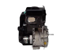 Briggs stratton 202430 d'occasion  Expédié en Belgium
