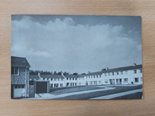 Harlow ram gorse for sale  FOLKESTONE