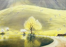 Quiet pastures crummock for sale  UK