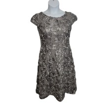 ALEX EVENINGS Vestido Metalizado Plateado con Detalle Roseta Manga Gorra Formal 6 segunda mano  Embacar hacia Mexico