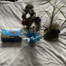 Joblot tropical fish for sale  LEOMINSTER